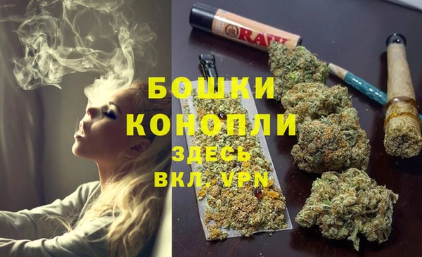сатива Магас