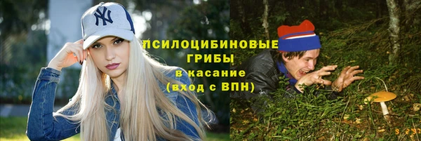 a pvp Медногорск