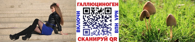 где можно купить   Набережные Челны  Галлюциногенные грибы мухоморы 