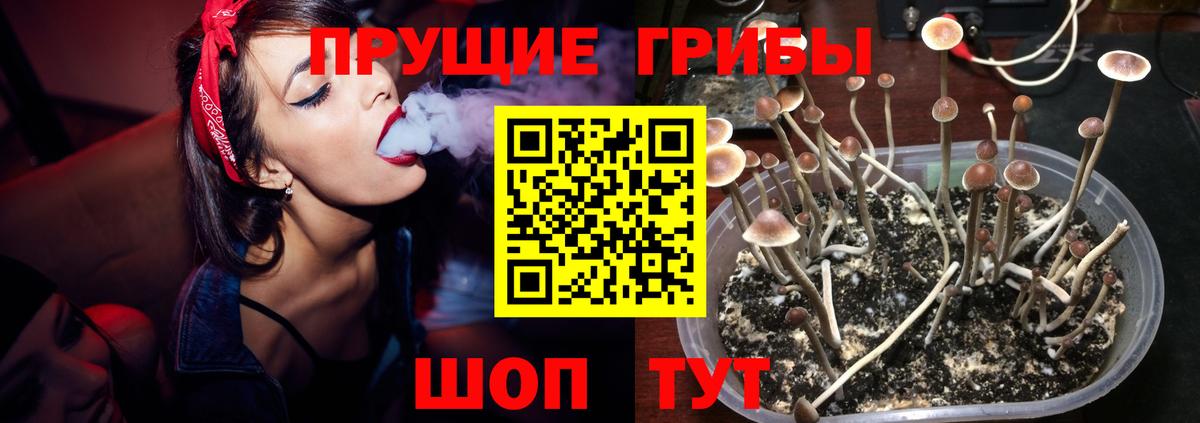 Галлюциногенные грибы GOLDEN TEACHER  Галлюциногенные грибы ЛСД  Набережные Челны 