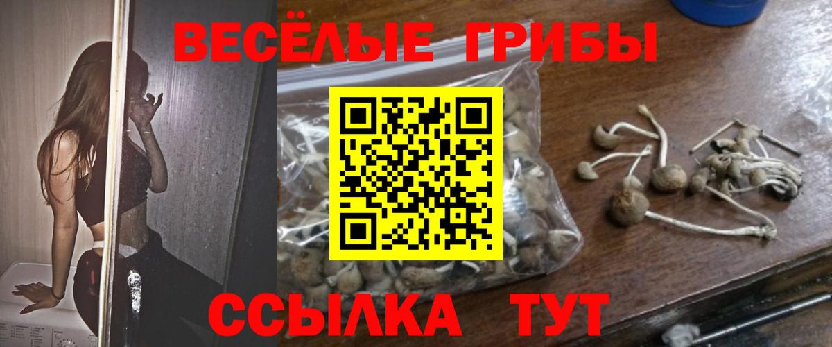 Галлюциногенные грибы MAGIC MUSHROOMS  Вход с VPN  Набережные Челны 